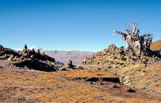 Tibet (204 von 257).jpg